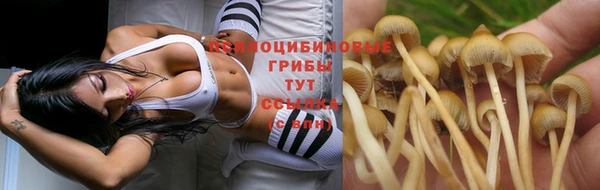 кокаин Аркадак