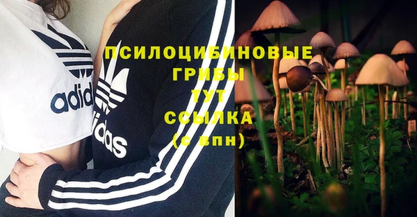 молекула духа Ростов