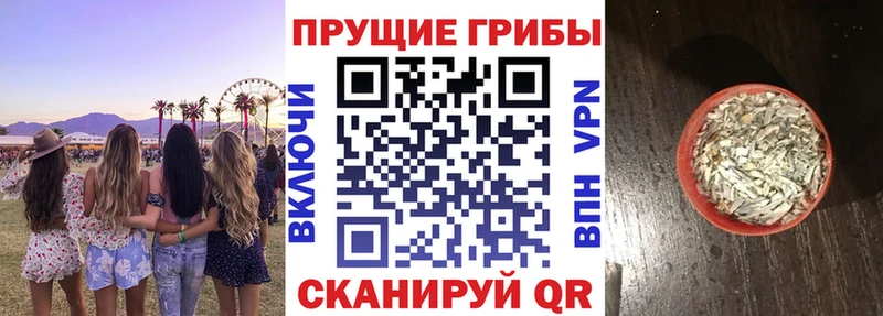 Псилоцибиновые грибы MAGIC MUSHROOMS даркнет сайт нарко площадка состав Армянск